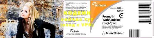 ГАЛЛЮЦИНОГЕННЫЕ ГРИБЫ Балахна
