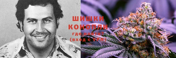ГАЛЛЮЦИНОГЕННЫЕ ГРИБЫ Балахна